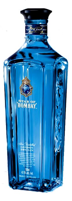 Star of Bombay 47,5% 0,7L (čistá fľaša)